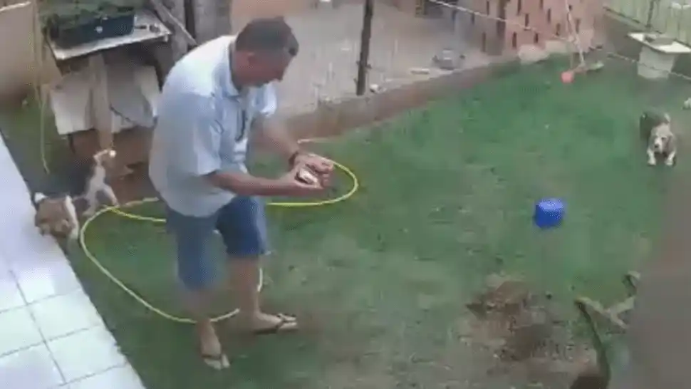 Voló su jardín por los aires por combatir a las hormigas con fuego