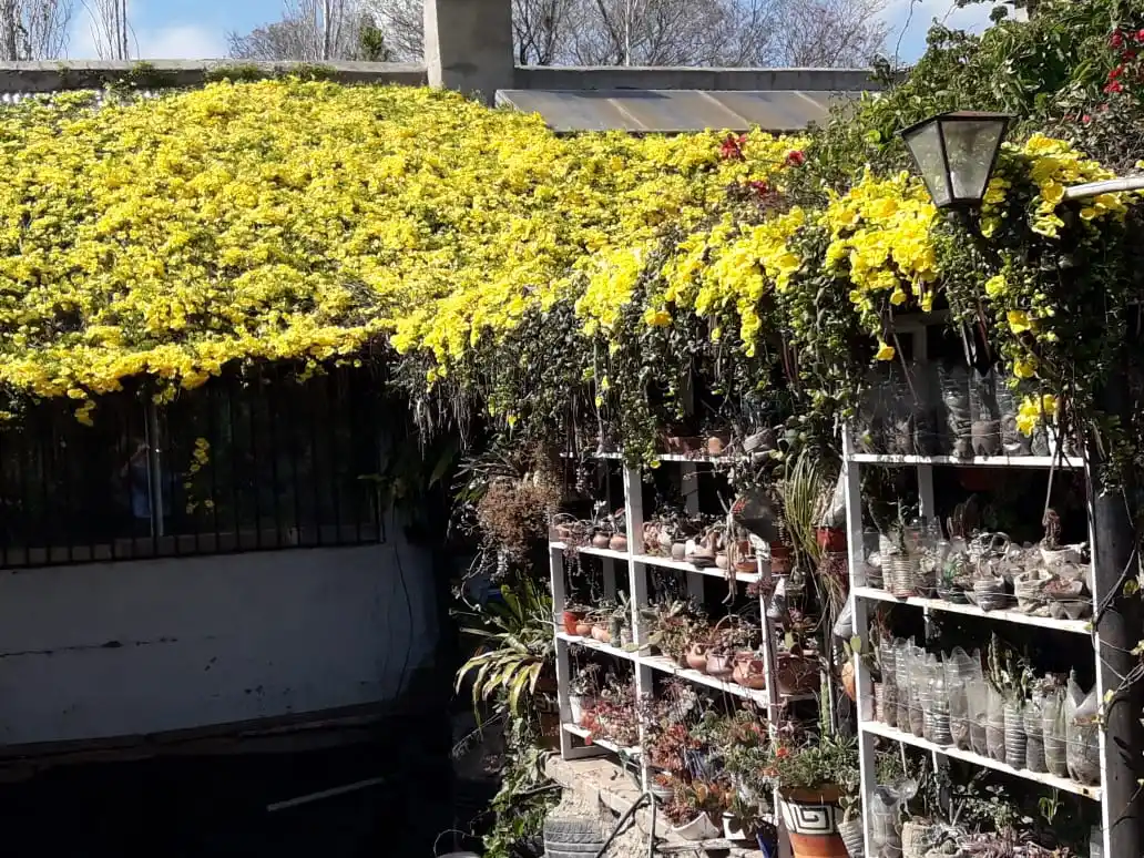 La casa autosuficiente de César Samita