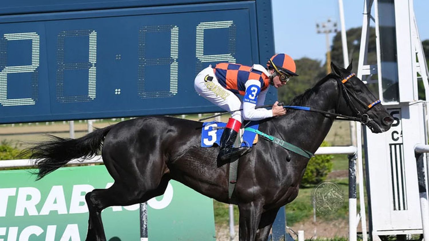 Miércoles 13: Actividad Hipódromo de San Isidro