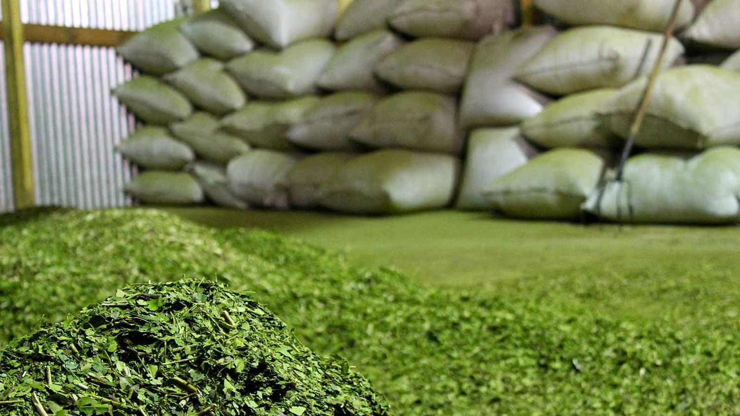 El 39.3% del precio de la yerba son impuestos
