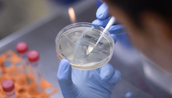 ¡NUEVO ROUND!: China denuncia la «arrogancia» de la OMS por investigar el origen de la Covid-19