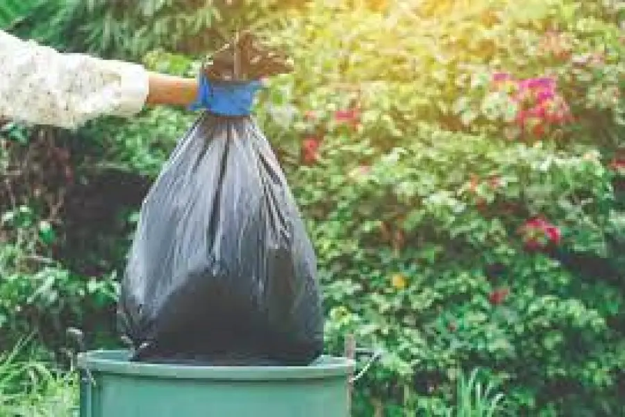 Recolección de residuos de patio: ¿qué sector tiene que sacarlos?