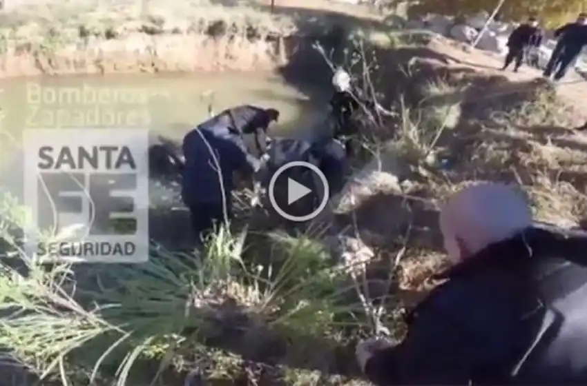 Video: el dramático rescate de una yegua que se cayó en el arroyo Ludueña