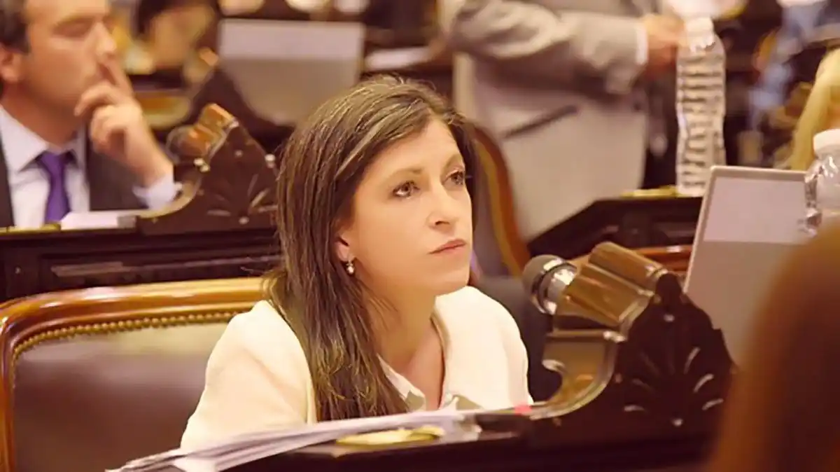 Una diputada propuso que el Estado se quede con parte de las empresas en crisis