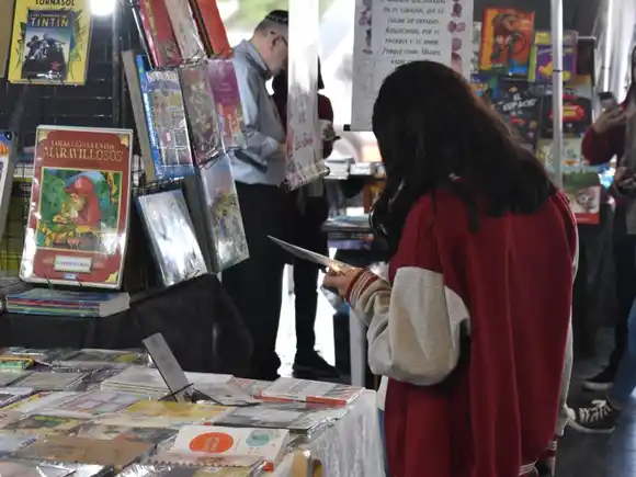 Se declaró de interés la Feria del Libro de Chajarí