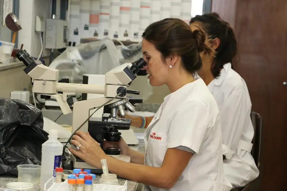 Investigadores de Veterinarias en busca de mejorar la rentabilidad