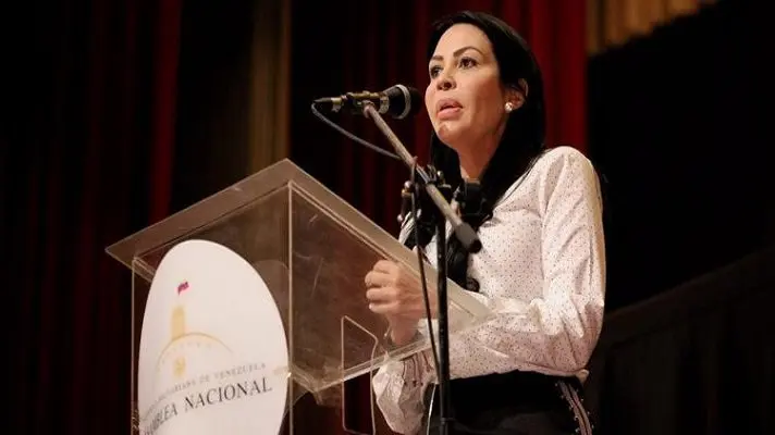 Venezuela es el país donde se producen más violaciones a los DD.HH. de los parlamentarios