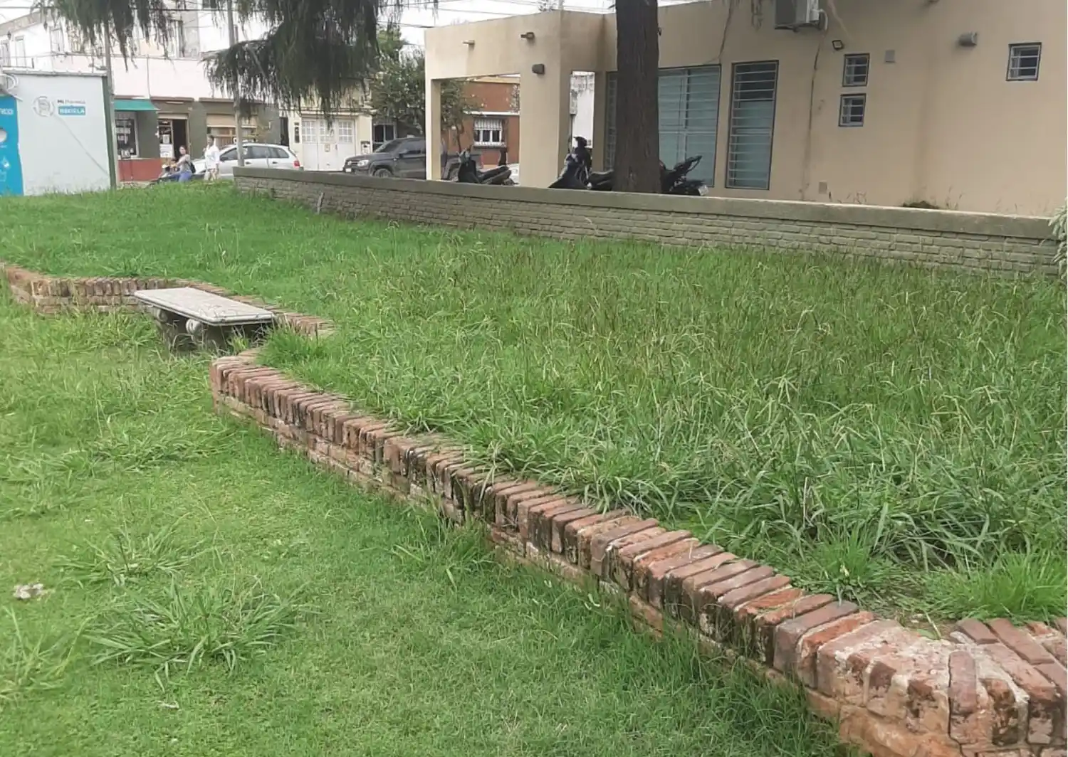 Escuela 7: el pasto larguísimo