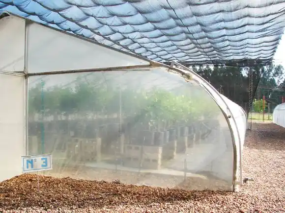 La importancia de la actividad citrícola experimental  en el campo El Alambrado