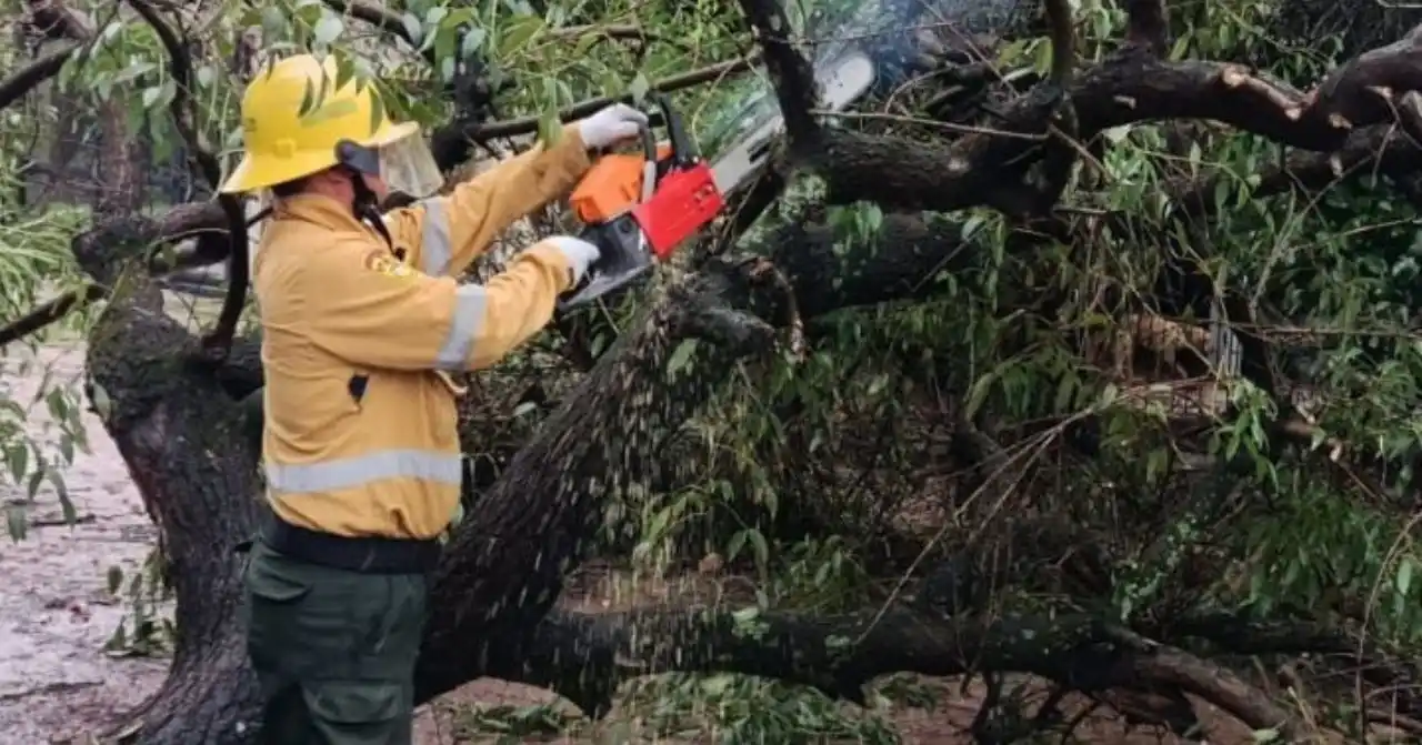 Postales del fuerte temporal en Formosa