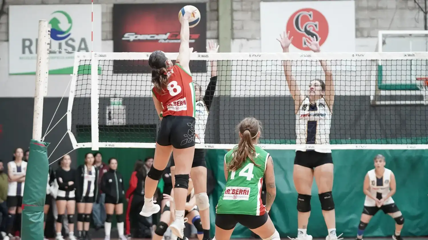 Torneo Apertura - Liga Necochense de Voley - 5