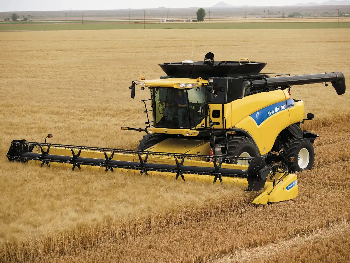 Un síntoma auspicioso en el campo