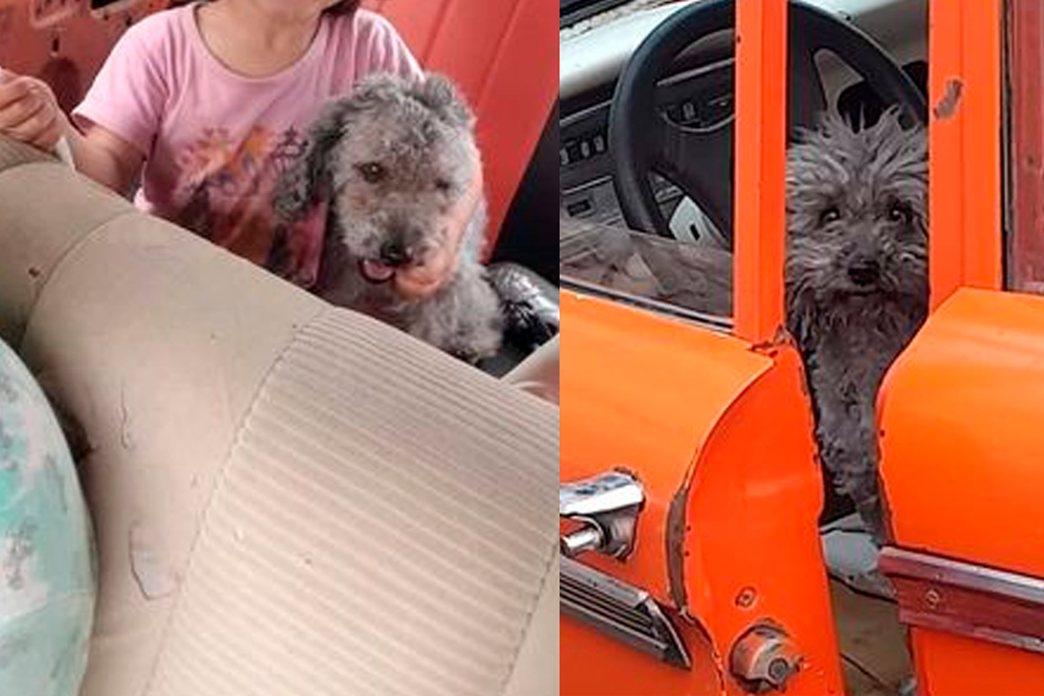 Siguen buscando a Telma