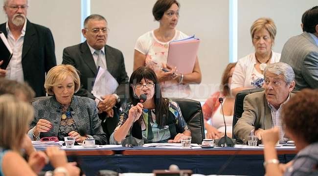 Agencia Federal de Inteligencia: Continúa el debate en Diputados