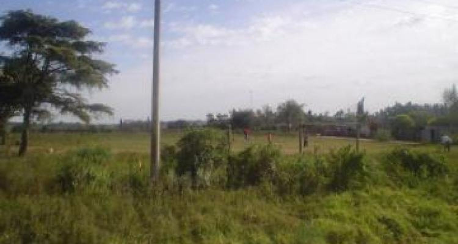 Quieren expropiar tierras para un barrio en La Tosquera