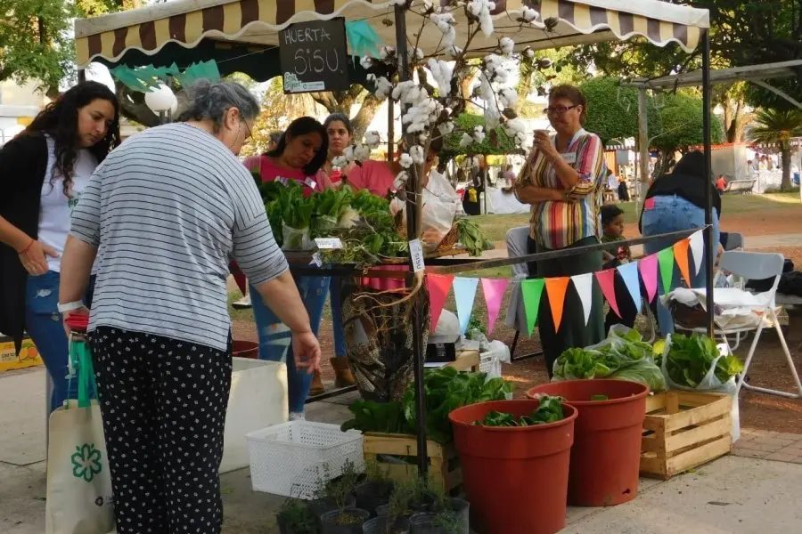 El domingo hay Feria desde el Origen