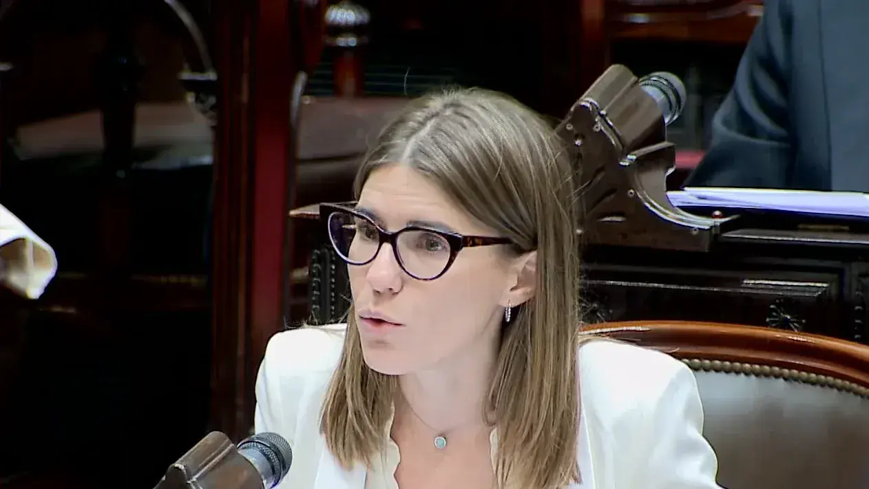 Tras la media sanción, el Súper RIGI sumó el rechazo de Salzmann: "Es un pedido específico de algunas empresas"