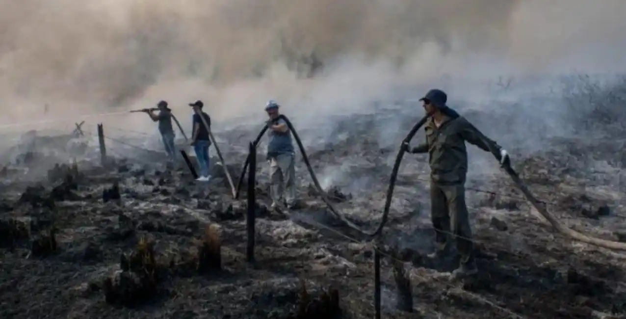 Anuncian una inversión de $400 millones para recuperar los Esteros del Iberá