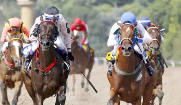 Jueves 26: Actividad Hipódromo de La Plata