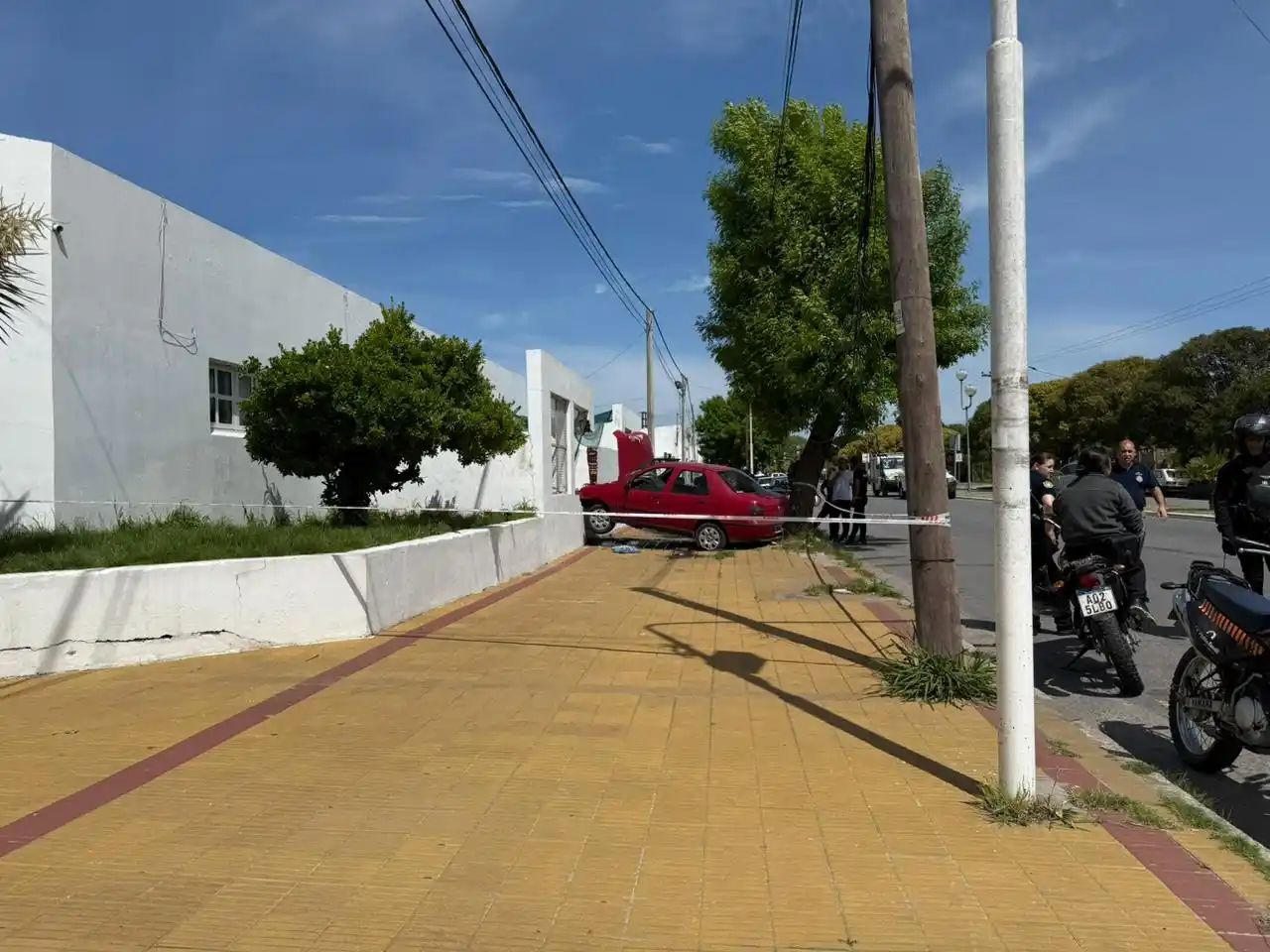 choque Jardín 917