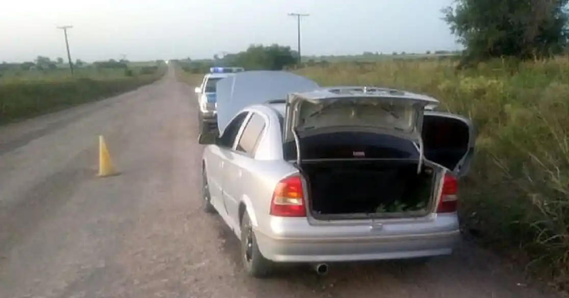 Los detuvieron en un control vehicular y descubrieron una planta de marihuana en el baúl