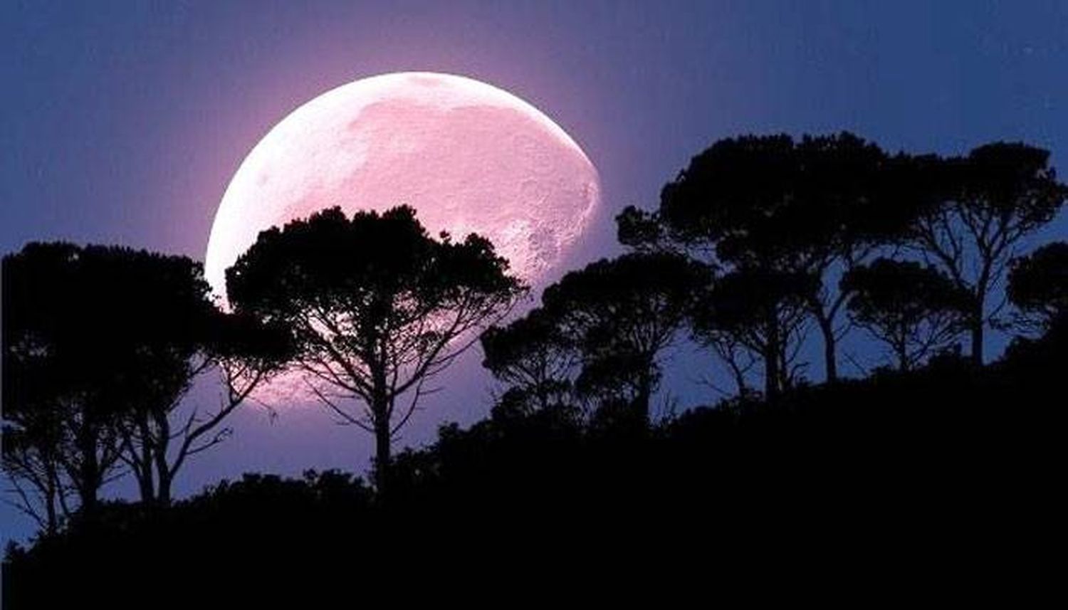 El martes se podrá ver la  Superluna rosa