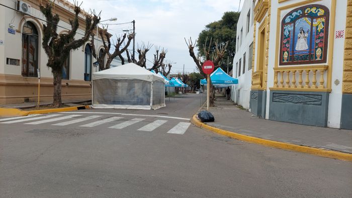mercados bonaerenses en fiesta de la naranja - 2