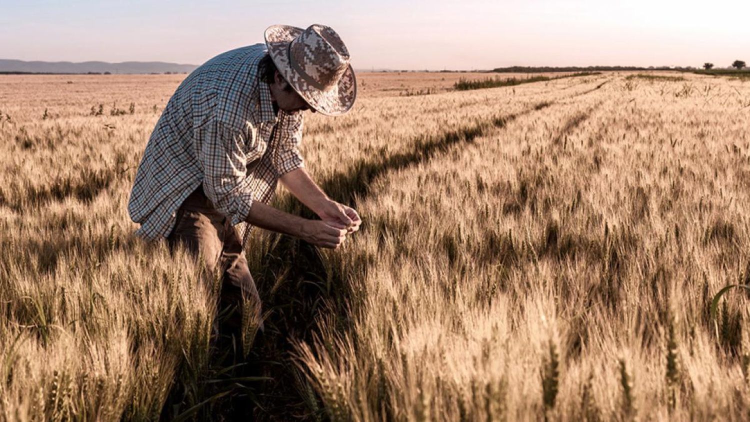 El Gobierno entregará fertilizantes a 77.000 pequeños productores de trigo y maíz