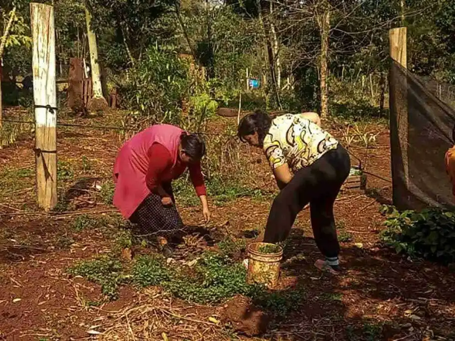 Sembrando futuro: la autosuficiencia y el poder ancestral de las mujeres en Iguazú.