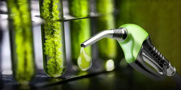 El Gobierno fijó los precios mínimos para biocombustibles de octubre