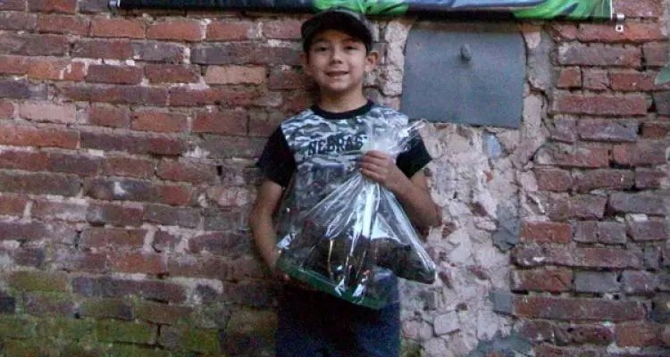 León Domenicone, el ganador de Toxodonte