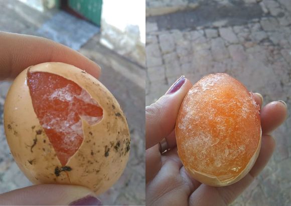 Frío y heladas: el huevo congelado