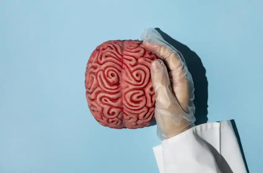 La salud del cerebro es clave para una vida en plenitud