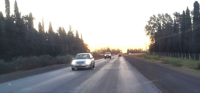 Ruta 1001