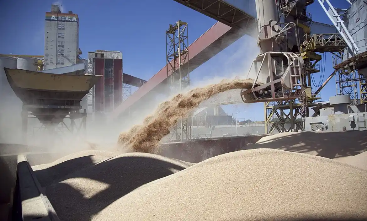 Baja de retenciones: cómo queda el gravámen para cada producto