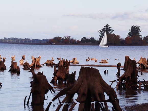 El río Uruguay mantiene tendencia ascendente y llegaría a los 11,50 en el puerto de Concordia