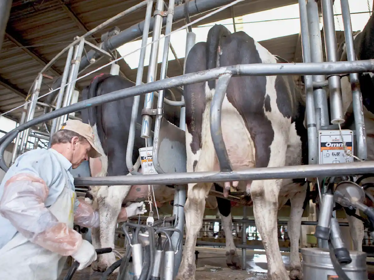 A los tamberos también les llegó el aplauso