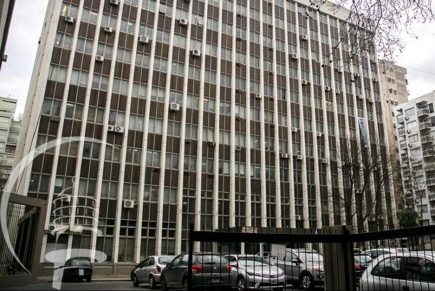 Denuncian que hay excremento de ratas en la cocina de Tribunales