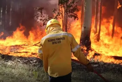 Incendios forestales en Entre Ríos: máxima alerta en Paraná y Gualeguaychú