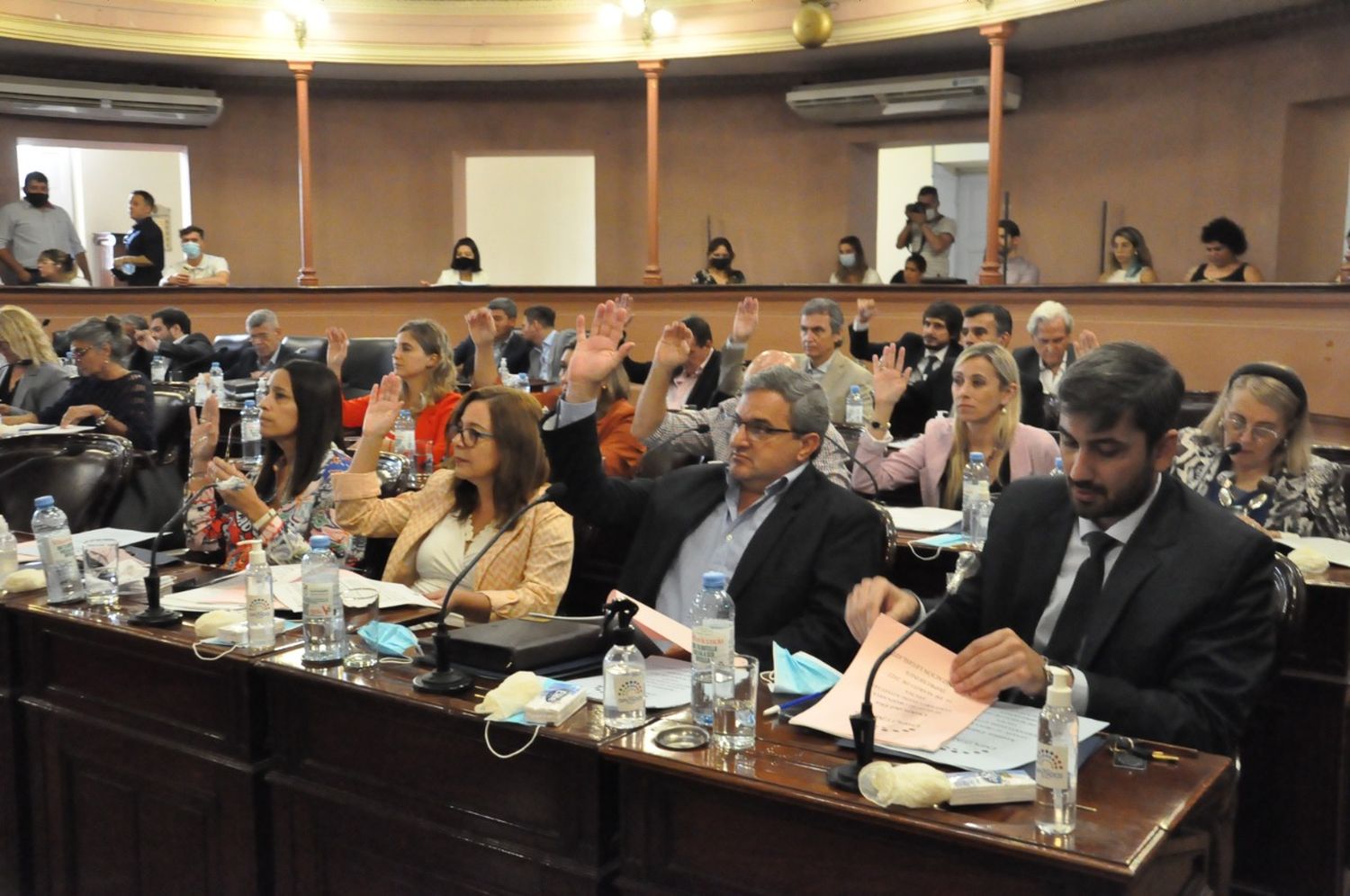 Se aprobó el proyecto de ley de protección, asistencia y prevención de la violencia por razones de género