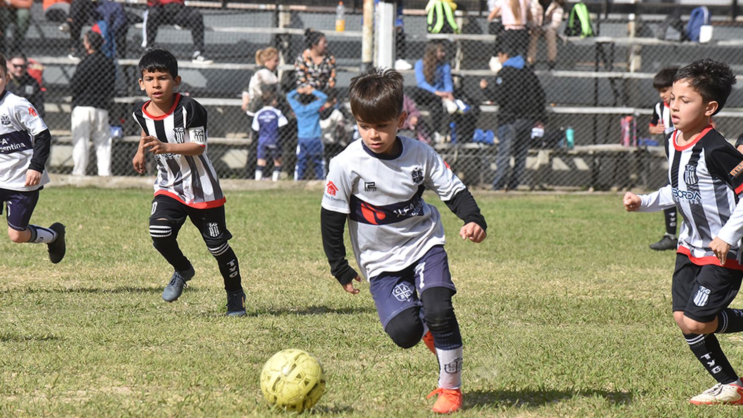 Los chicos volvieron a las canchas