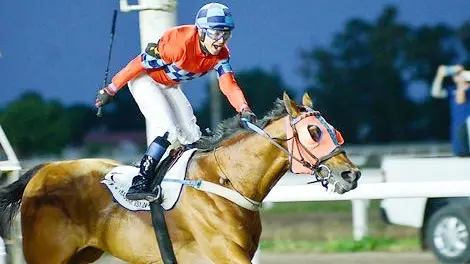 Treasure Island, ganador de la edición pasada, defiende el título en el Gran Premio Dardo Rocha (G1), prueba insignia del turf platense.