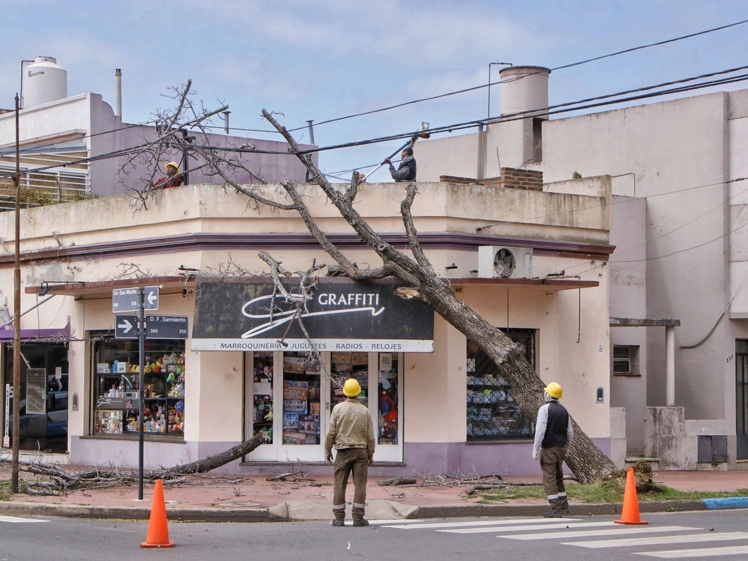 Fuertes vientos en Junín: Hubo caída de árboles y actuó Defensa Civil