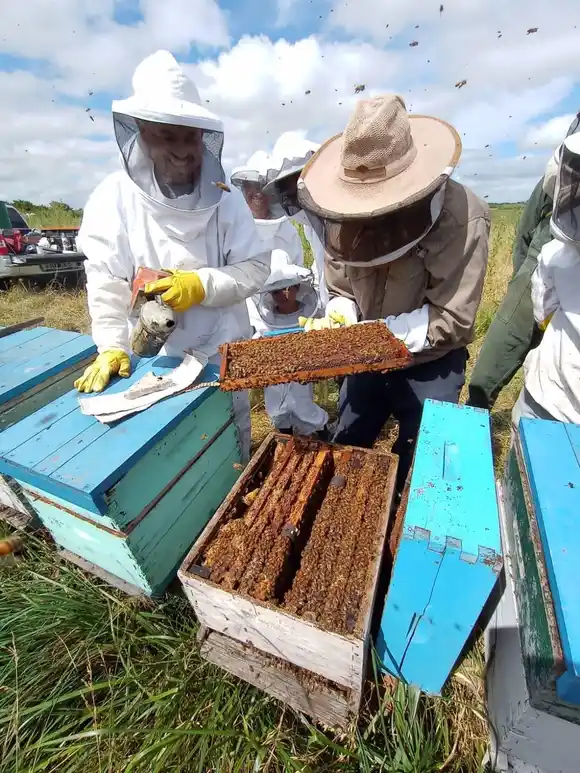 Jornada de iniciación apícola en la unidad demostrativa del INTA Chascomús