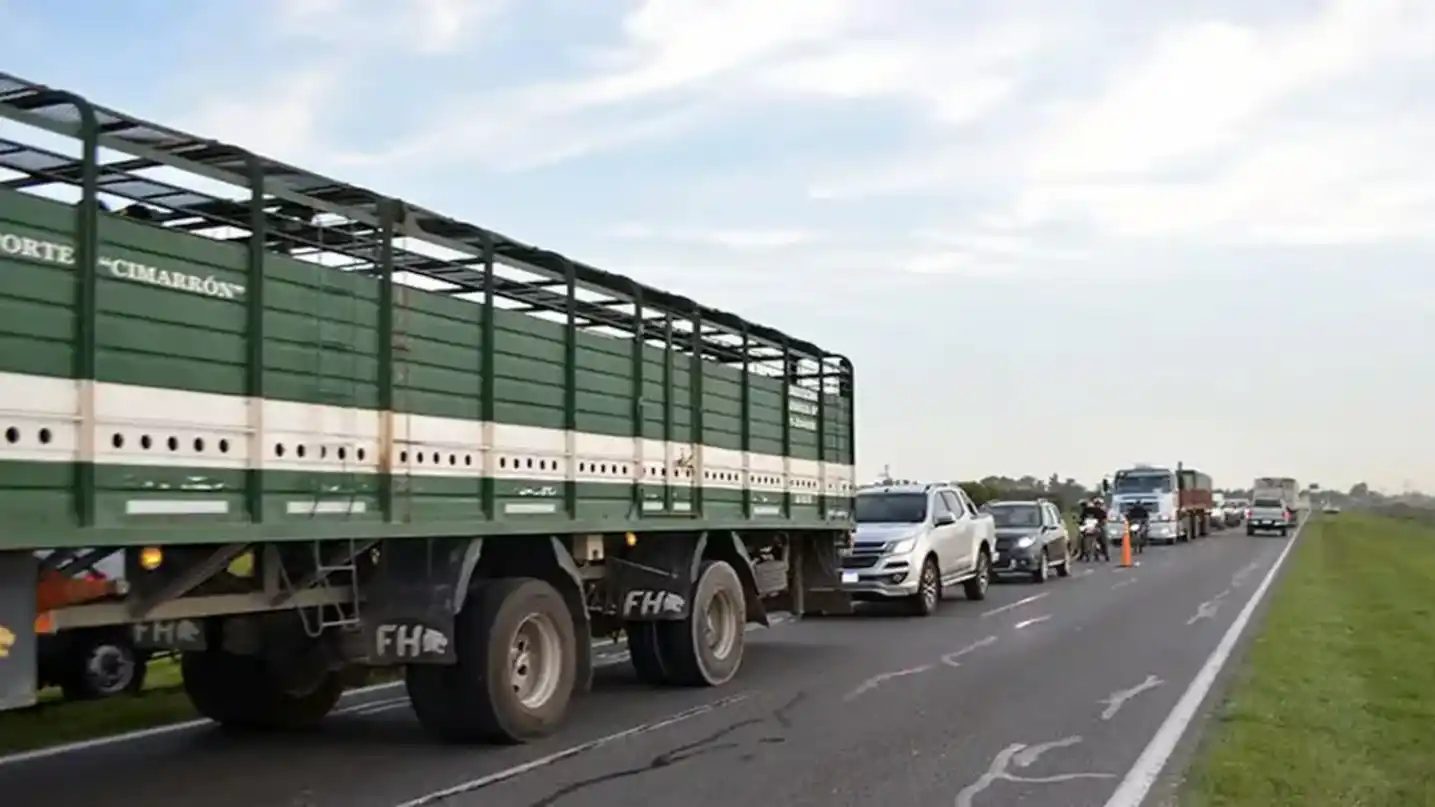docente pinchó un neumático en la ruta - 2