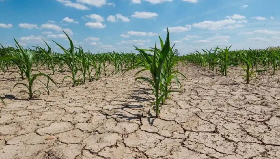 Provincia formalizó la Emergencia Agropecuaria para trece distritos bonaerenses