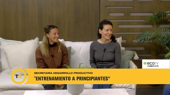 Programa de Entrenamiento para principiantes