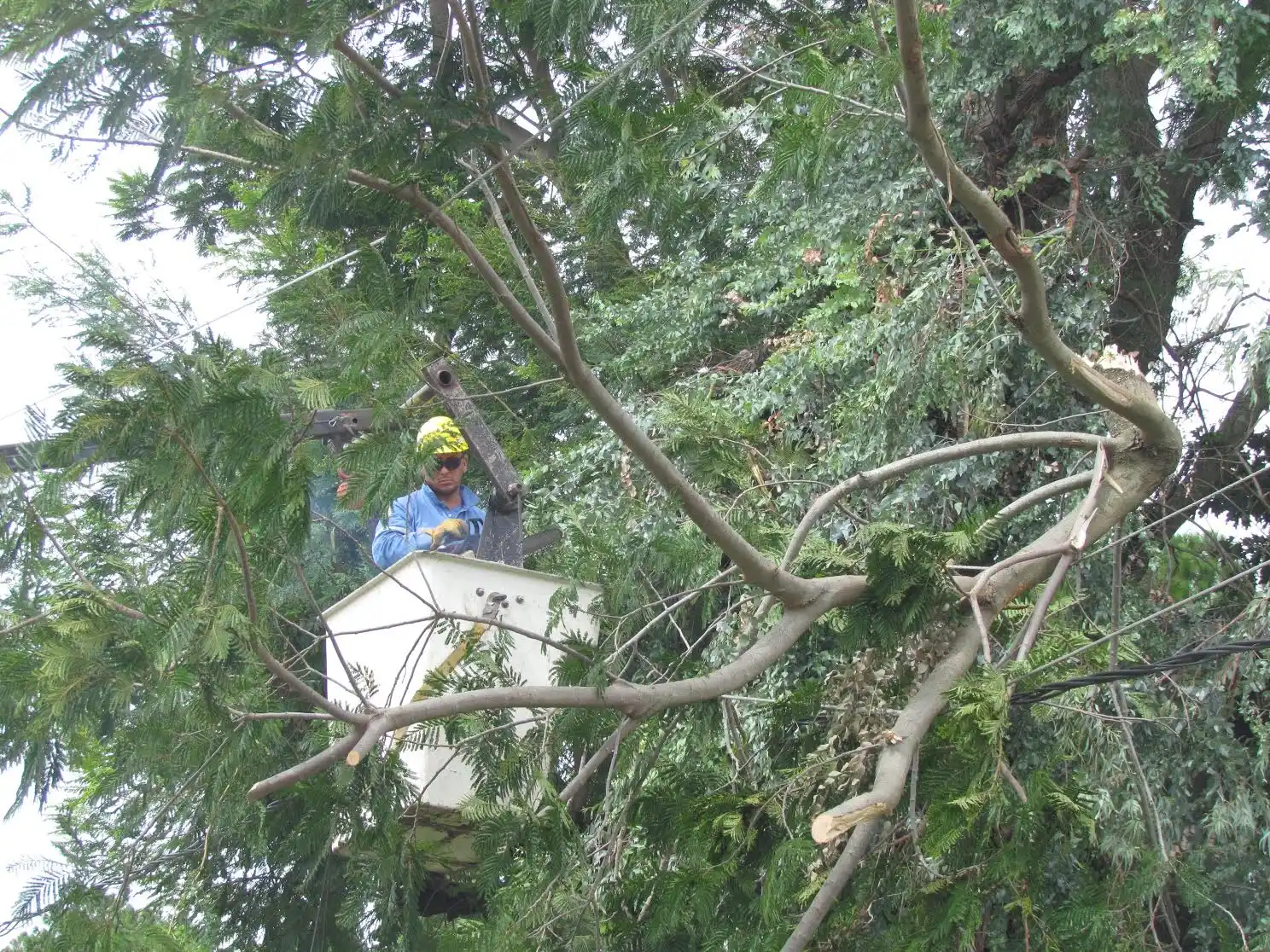 Trabajos de la EPE para este martes