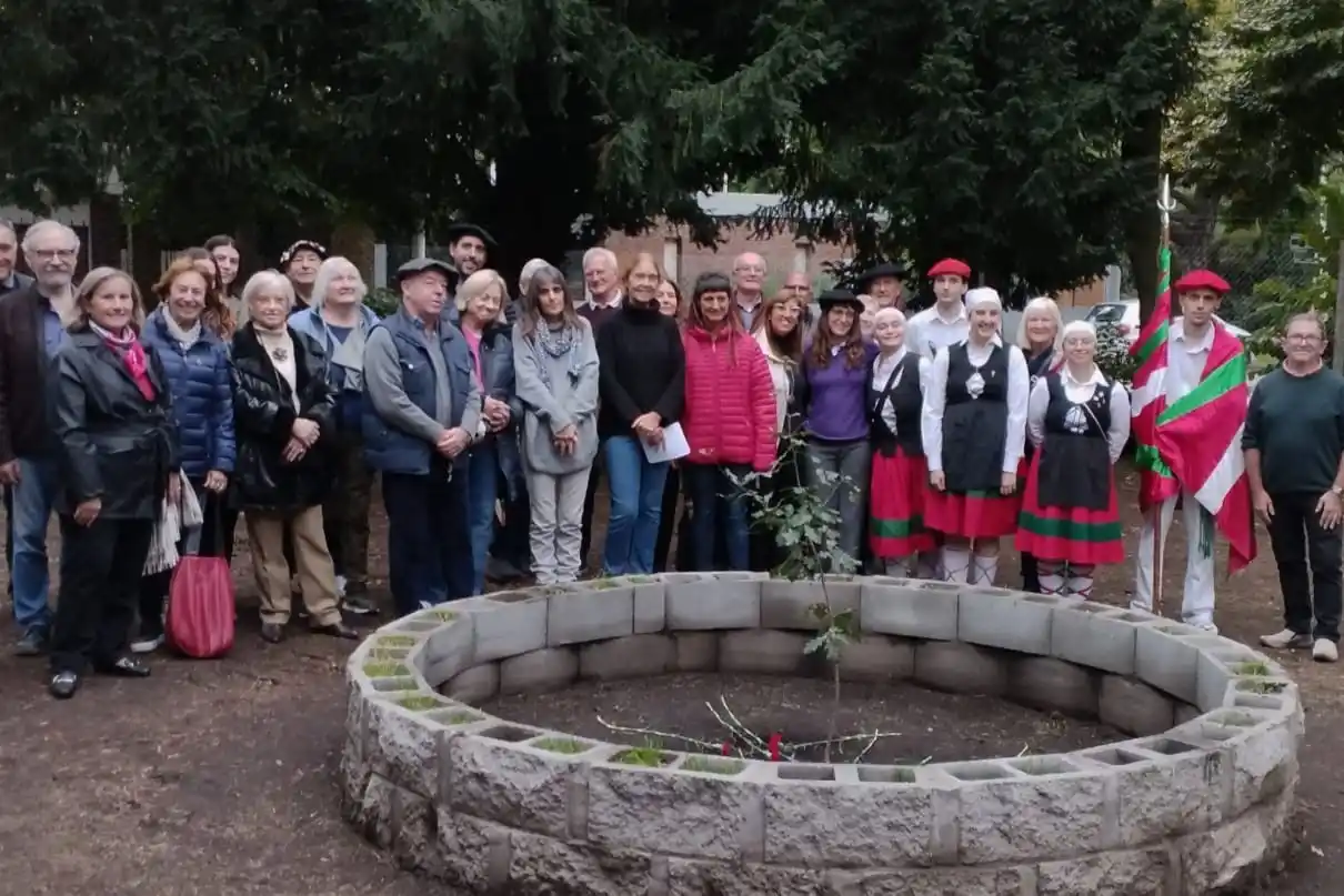 En el Colegio Illia se encuentra uno de los retoños del mítico roble blanco.