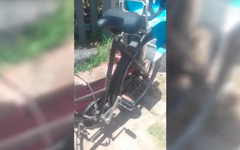 Vivero Viejo Matías: “Que vengan a buscar la bici, o tenemos que cortar el candado”